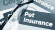 Global Pet Insurance Market Surging Amid Rising Pet Ownership and Demand for Affordable Veterinary Care