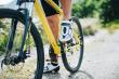 Bicycle Shoe Market Poised for Growth by 2035, Driven by Fitness Boom, E-Bike Popularity, and Urban Mobility Trends