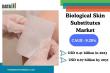 Biological Skin Substitutes Market to Hit $0.97B by 2031 | Key Companies, and Regional Developments | DataM Intelligence