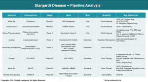 Stargardt Disease CI Insights