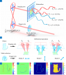 Integrated Metasurface for Quantum Analog Computation: A New Scheme to Phase Reconstruction