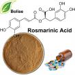 Rosmarinic Acid Market to Reach USD 369.7 Million by 2035 Amid Surging Demand for Natural Ingredients | FMI