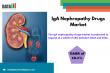 IgA Nephropathy Drugs Market to Grow at 18.1% CAGR Driven by Biologic Innovations and FDA Approvals| DataM Intelligence