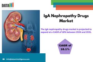 IgA Nephropathy Drugs Market