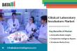 Clinical Laboratory Incubators Market Outlook With (CAGR) 4.9% 2024-2031 | DataM Intelligence