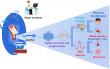 Cardiorespiratory Function Assessment and Biometric Recognition with Intelligent Photonic Wristband