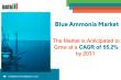 Blue Ammonia Market Poised for Transformational Growth with a CAGR of 55.2% during 2024-2031| DataM Intelligence