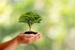 TN Nursery Invests in Future Environmental Leaders with $20,000 Scholarship Program