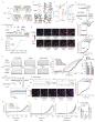 Engineered ion channel offers precise, non-invasive control of brain activity