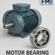 Global Motor Bearing Market Surges Amid EV Boom, Wind Power Growth & Renewable Push Across Key Regions