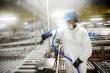 Global Disinfection Equipment Market to Reach USD 37.9 Million by 2035, Growing at a Robust CAGR of 12.2%