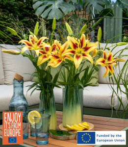 Image of Lilies