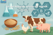 Animal Nutrition Chemicals Market Set for Robust Growth, Reaching Nearly USD 28.83 Billion by 2035 | FMI