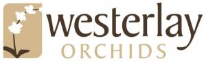 westerlay logo