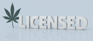 Minnesota Cannabis Licensing Support