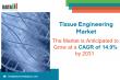 Tissue Engineering Market is expected to reach US$ 65.1 billion by 2033 to exhibit a CAGR of 14.9% | DataM Intelligence