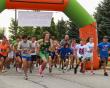 Organ, Eye and Tissue Donors Honored at 5th Annual Miles for Maddog 5K / 10K Walk and Run in Frankfort, Illinois