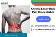 Chronic Lower Back Pain Drugs Market to Hit $4.6B by 2033 Backed by FDA Approvals & Drug Innovation | DataM Intelligence
