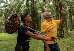 Independent Producer