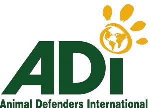 ADI Logo