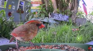 "Molly's Firehouse," is located in the backyard of Dayna’s home