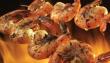 Seafood Restaurants Market Is Booming So Rapidly | Red Lobster, Bonefish Grill, Sysco