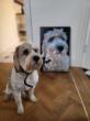 Clive Hemsley marks milestone with 2501 dog portraits