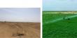 From Challenge to Opportunity: African Food Security’s Somaliland Initiative Reimagines Regional Agriculture