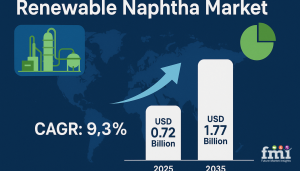 Renewable Naphtha Market