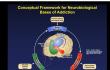 Neuroscience Based Medications Offer Hope in Addiction Crisis, Says NYC Doctor