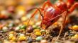 NaturePest Now Offers Eco-Friendly Fire Ant Control, Prioritizing South Florida Families and the Environment