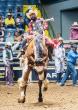 The Bill Pickett Invitational Rodeo Rides Back to Fort Worth for a Juneteenth Celebration on June 14 at Cowtown Coliseum