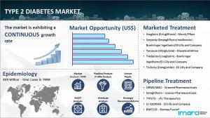 Type 2 Diabetes Market Report