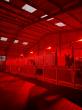 How Nighttime Lighting Attracts Insects in Horse Barns