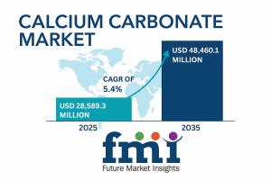 Calcium Carbonate Market Size