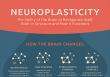 Neuroplasticity Market Growing Rapidly, Reaching USD 61.53 Billion by 2032 with a CAGR of 27.6% – Global Detailed Report