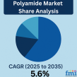 Polyamide Market Share Analysis: Growth Fueled by Sustainability, Innovation, and Rising Demand in Asia-Pacific
