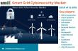 Smart Grid Cybersecurity Market Outlook | Global Industry Insights 2025 | DataM Intelligence