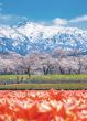 Japan's true hidden heart of luxury travel is the country's next must-visit destination  