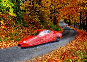 Autumn drive