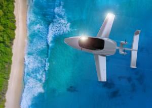 Soaring along the coast3