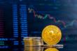 Vietnam Cryptocurrency Market 2025 - Top Regions, Latest Technology, Future Trends and Outlook 2033