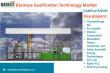 Biomass Gasification Technology Market Trends, Growth Forecast & Opportunities 2025–2032 | DataM Intelligence
