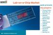 Lab-on-a-Chip Market Growth | Trends, Size, Share & Forecast 2025 | DataM Intelligence