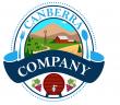 Canberra Company-Tax Advisors & Management Consultants Announce: Fractional CEO Services for Privately Owned Companies.