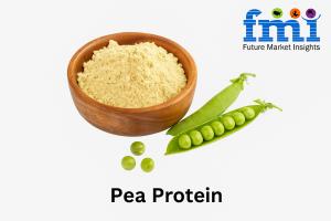 Pea Protein Market