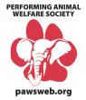 Seized Big Cats Find Refuge at PAWS Sanctuary in Second Major Rescue