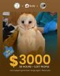 Birdfy and 'The Instagram Barn Owl' Rescue Collaboration Captures Hearts and Surpasses Fundraising Goals