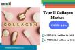 Type II Collagen Market Set to Reach $302.9M by 2031, Driven by Joint Health and Aging Trends | DataM Intelligence