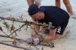 From coral planting to driving conservation, Cinnamon Hotels & Resorts Maldives are making every stay matter